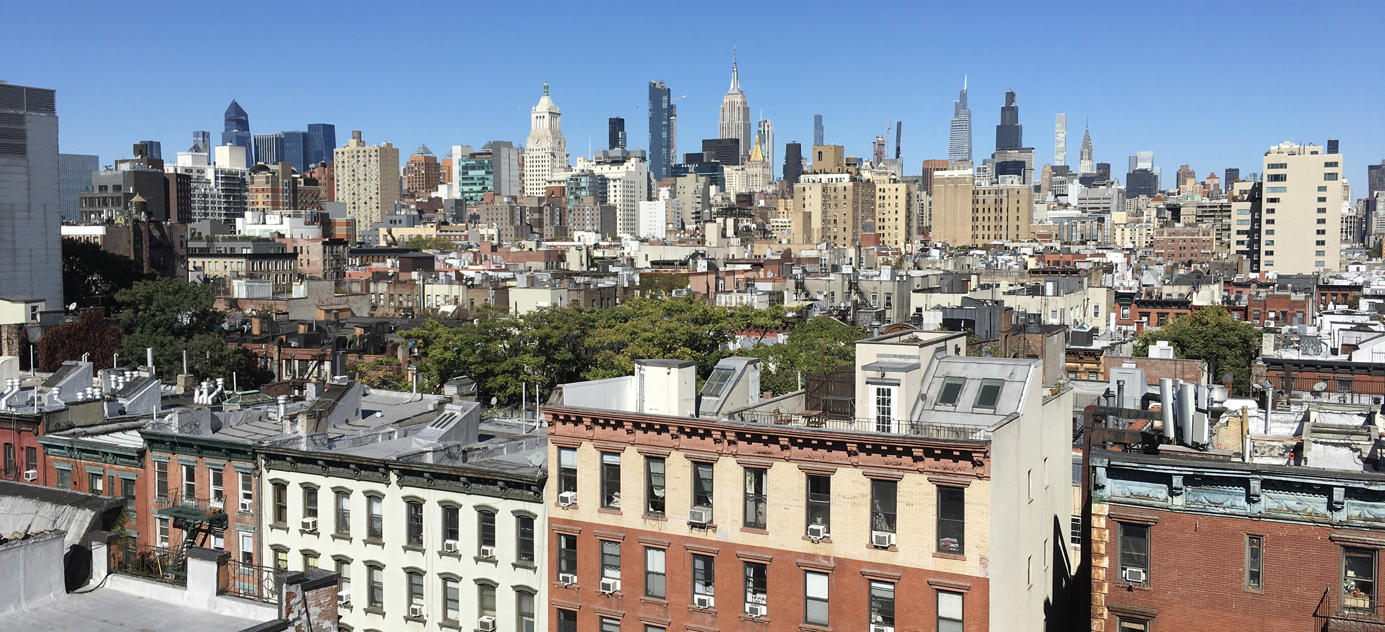 Rooftop Garden Design Installation and Maintenance NYC